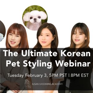The Ultimate Korean Pet Styling Webinar
